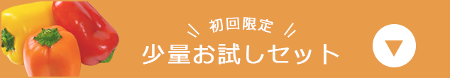 少量お試しセット